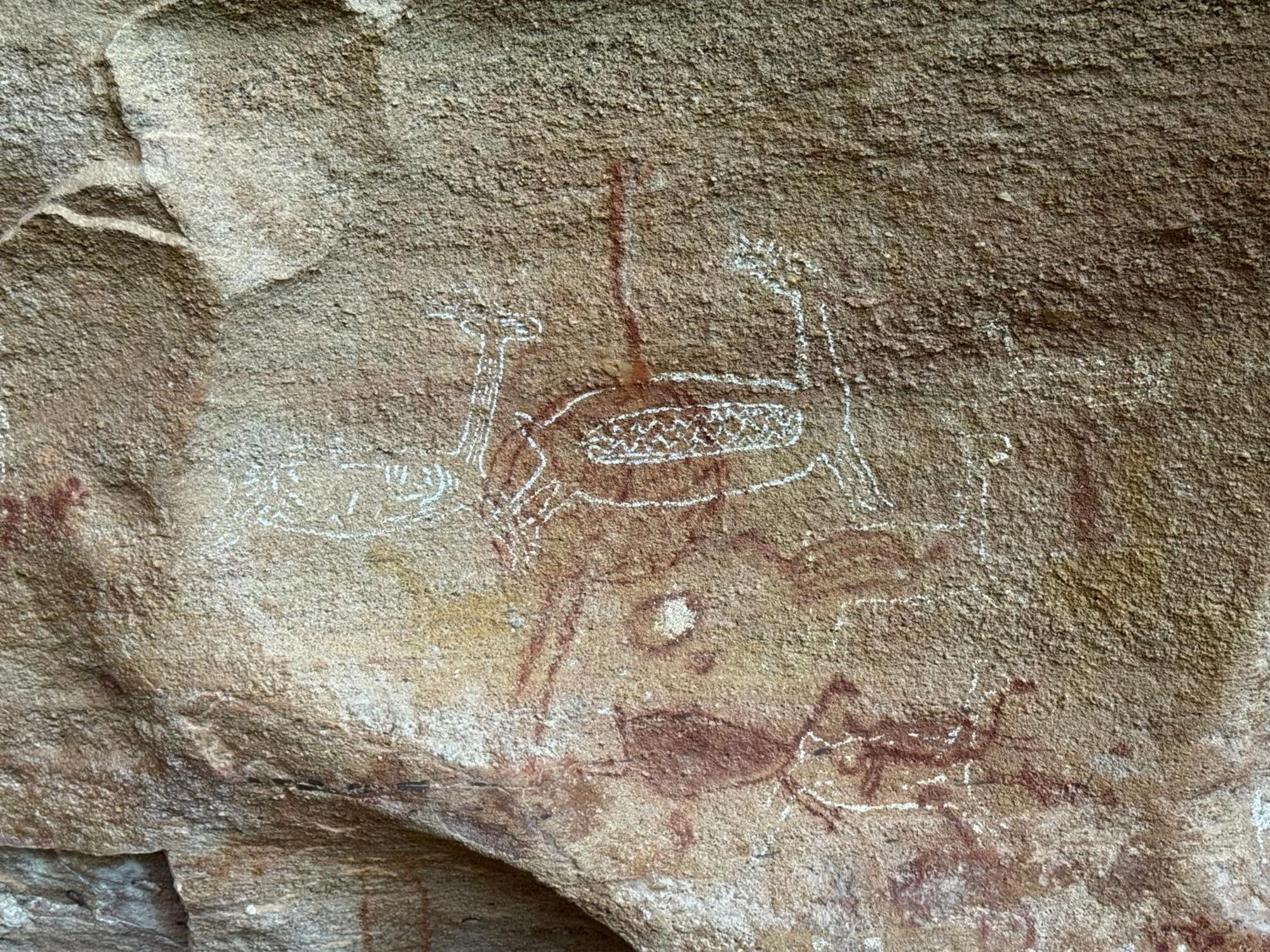 Casa Barreirinho Parque Nacional Serra Da Capivara Coronel Jose Dias ภายนอก รูปภาพ